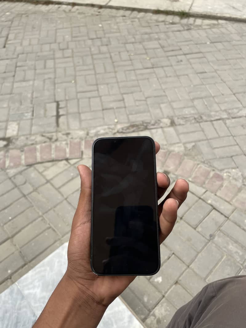 Apple iPhone 13 0