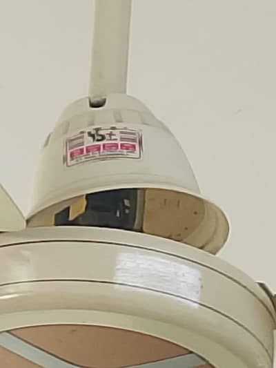 Celling Fan