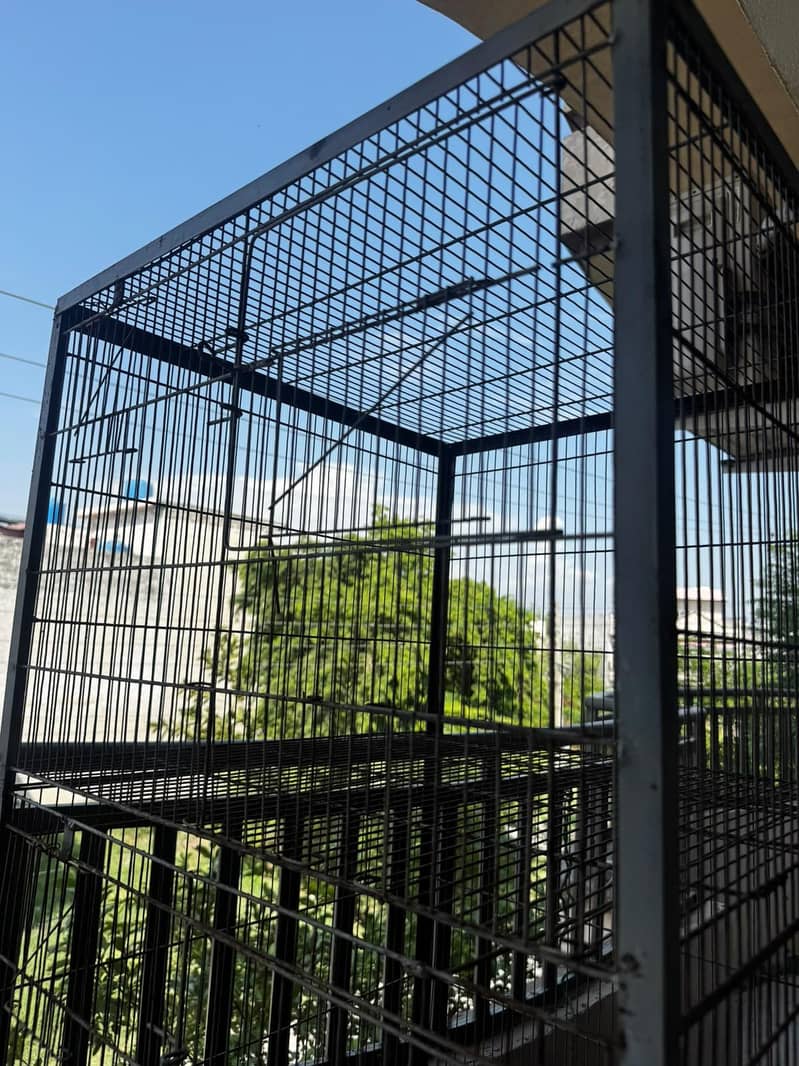 Cage | Hens Cage | Birds Cage | Pinjra | Cats Cage | Karachi 2