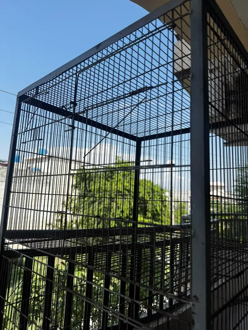 Bird cage — photo 3