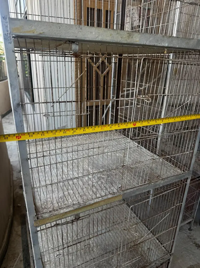 Bird cage — photo 4