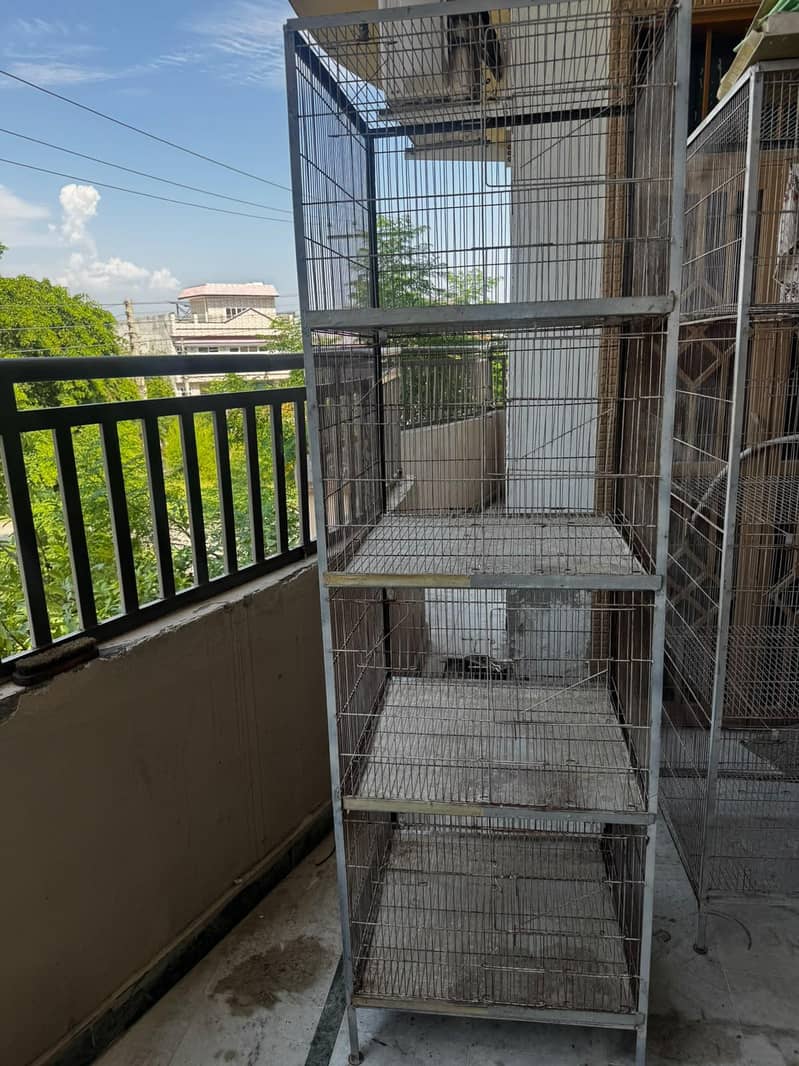 Cage | Hens Cage | Birds Cage | Pinjra | Cats Cage | Karachi 0