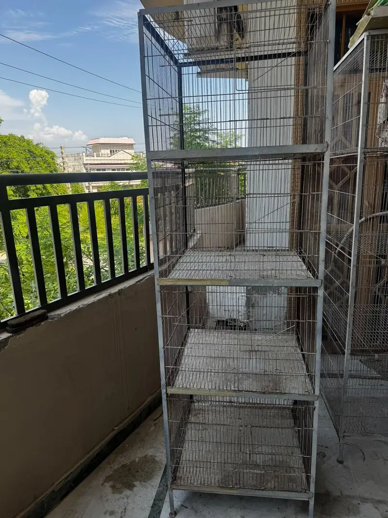 Bird cage