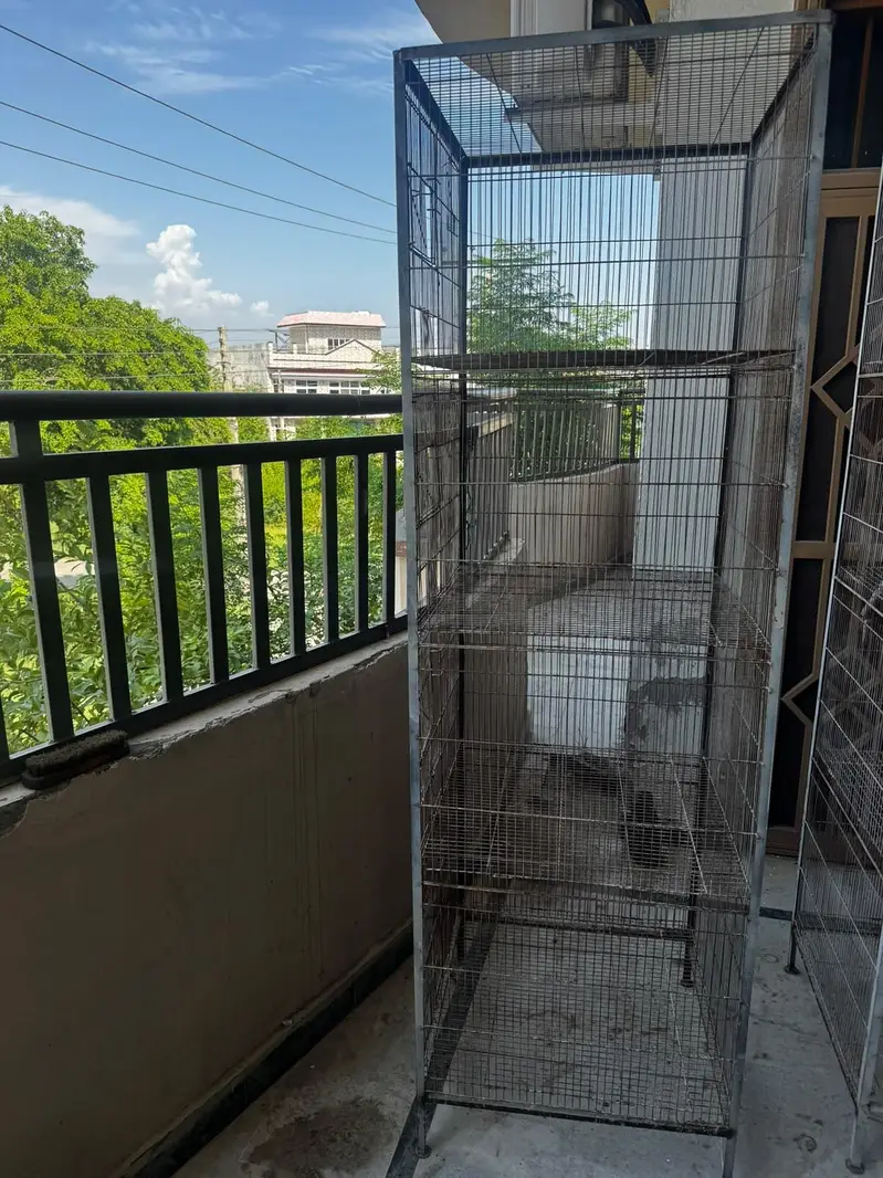 Bird cage — photo 2