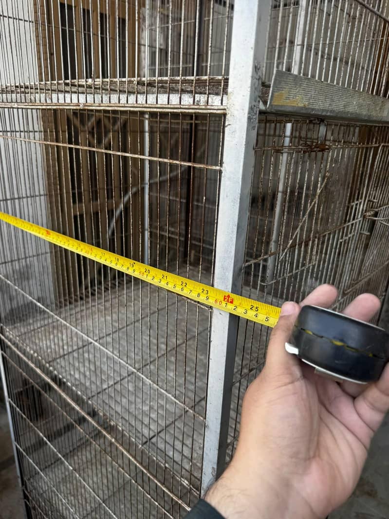 Cage | Hens Cage | Birds Cage | Pinjra | Cats Cage | Karachi 5