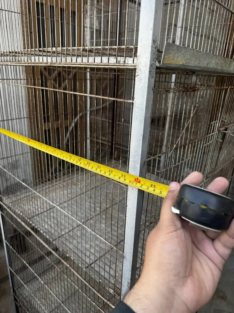 Bird cage — photo 6