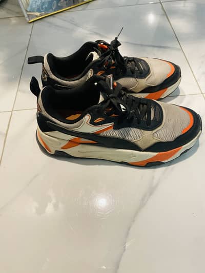 Puma cylde OG