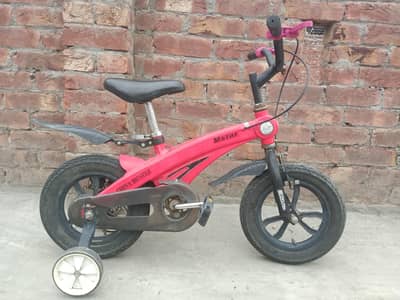 BICYCLE IMPORTANT 12 NUMBER