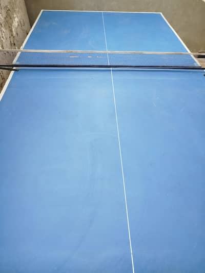table tennis table