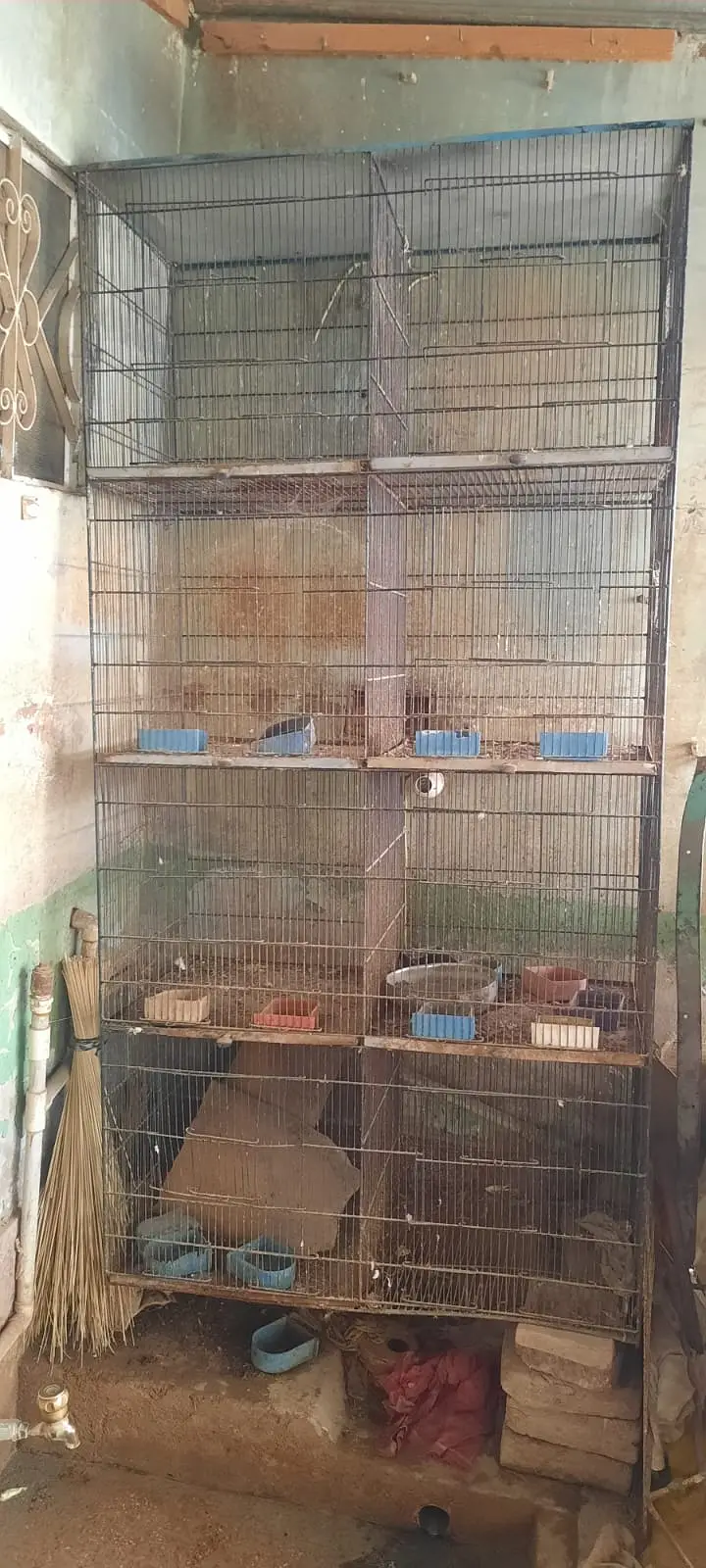 Birds  Cage — photo 2