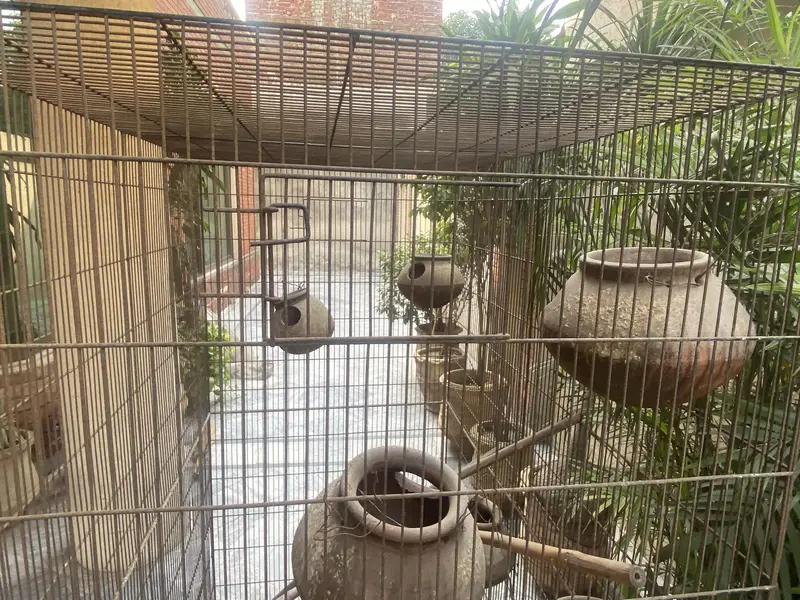 *Iron Cage for Sale* — photo 3
