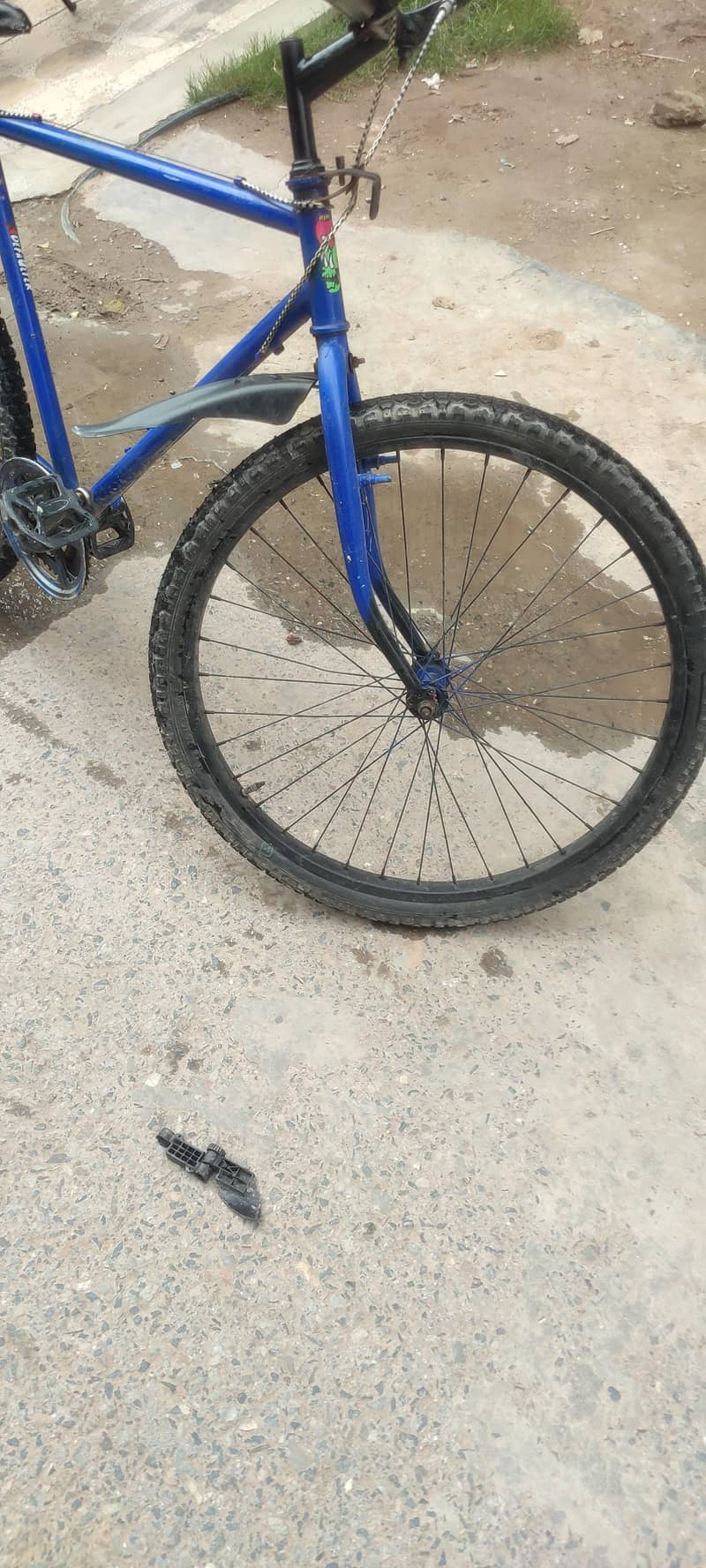 cycle 2