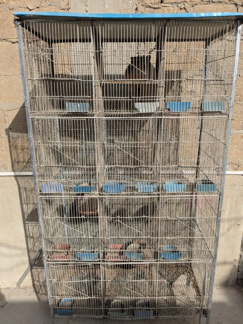12 Portion Cage