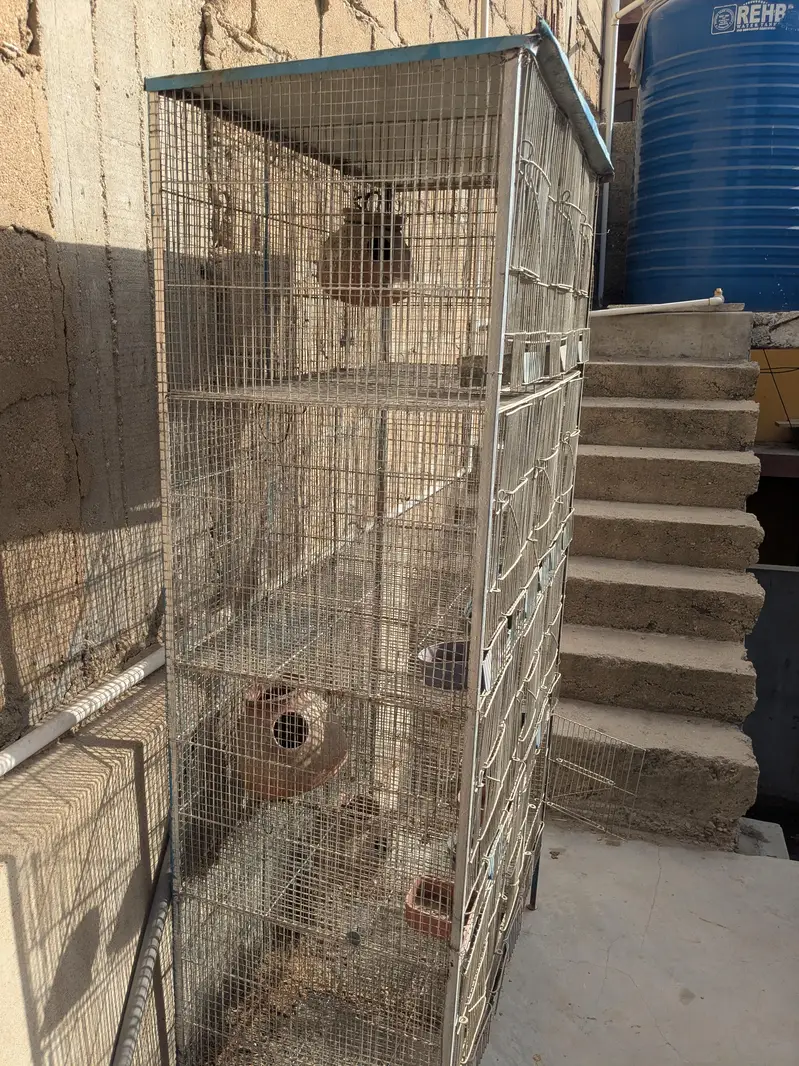 12 Portion Cage — photo 2