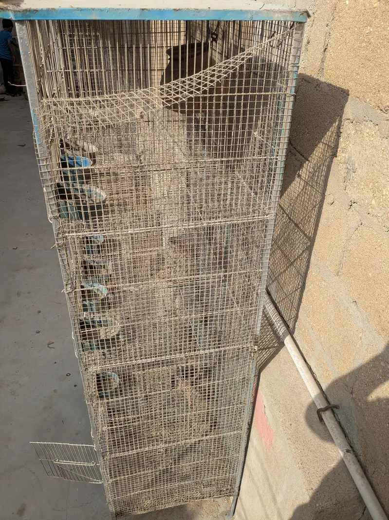 12 Portion Cage — photo 3