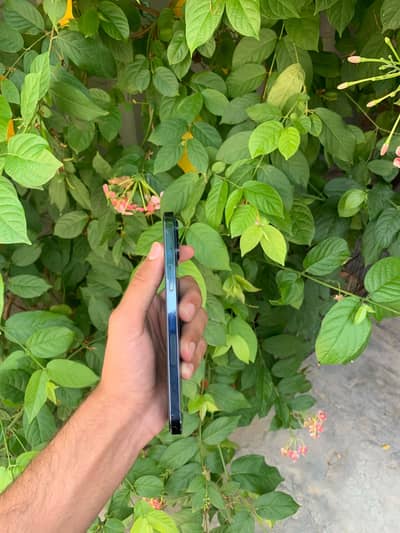 for sale