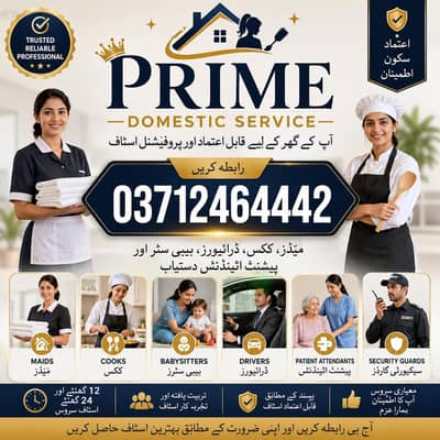 Maid/Babysitter/ Cook/patient attendant/Helper/Driver /Nurse