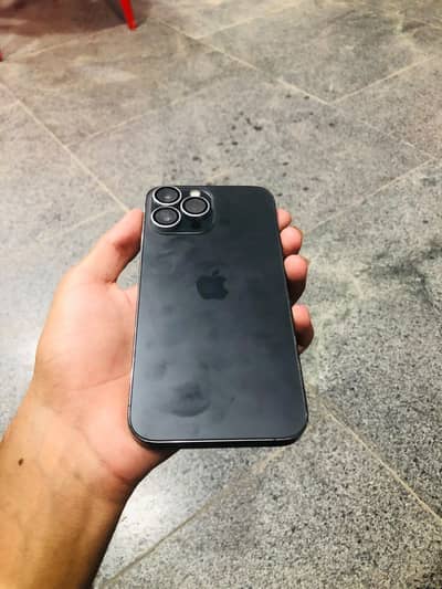 Apple iPhone 13 Pro Max