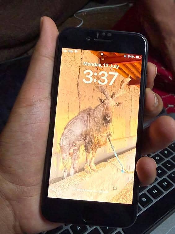 Apple iPhone SE 2023 1