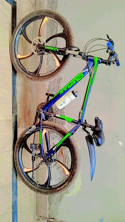 Caspian bicycle