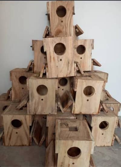 Boxes/Matkian/Nesting/Automatic Feeder & Drinker