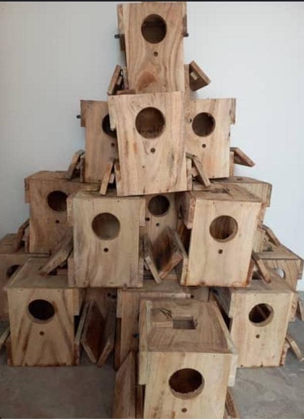 Boxes/Matkian/Nesting/Automatic Feeder & Drinker 0