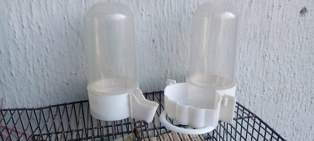 Boxes/Matkian/Nesting/Automatic Feeder & Drinker 6