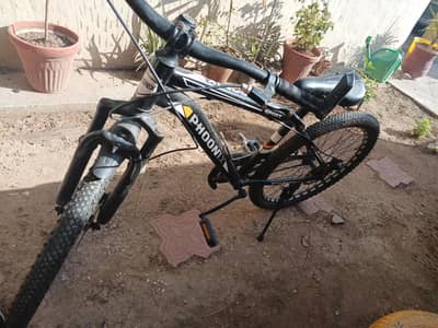 bicycle for adults