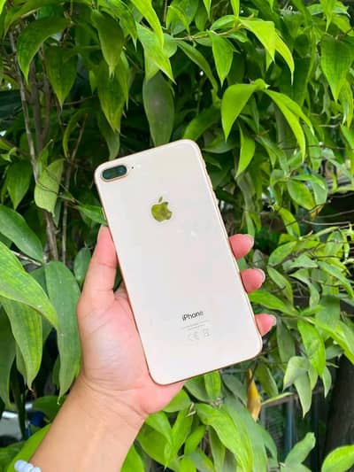 Iphone 8plus PTA approved 256GB My Whatsapp number 0309_37_13_771
