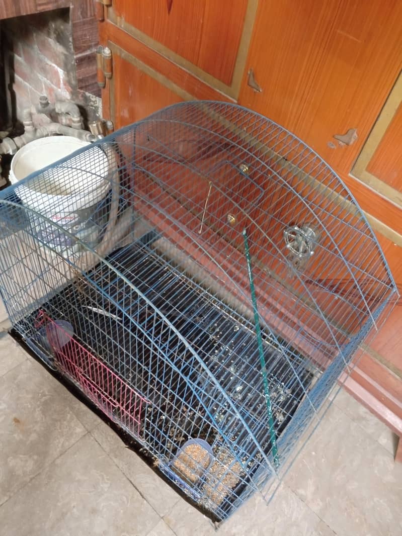 big cage 2