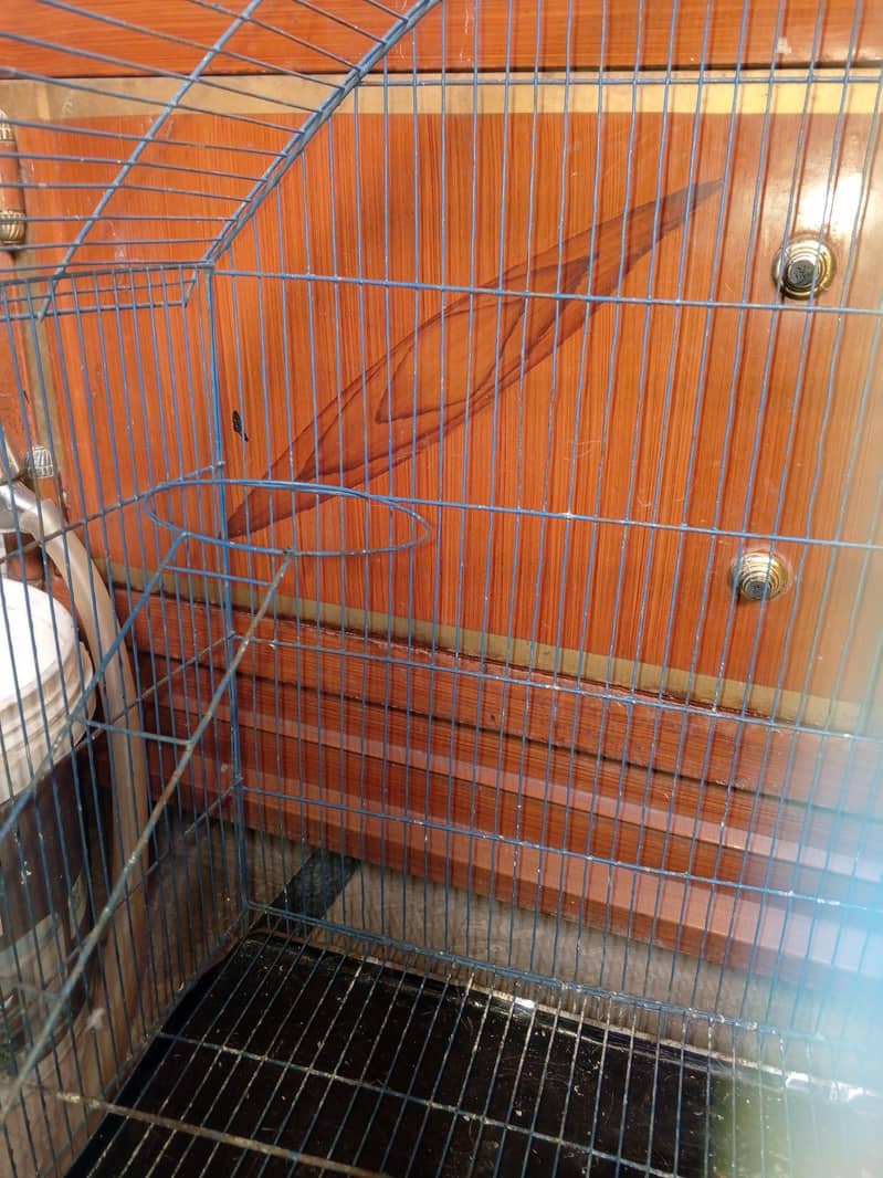 big cage 3