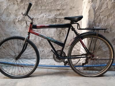 Phoenix Bicycle