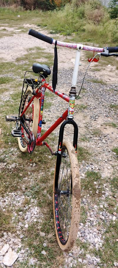 Phoenix cycle