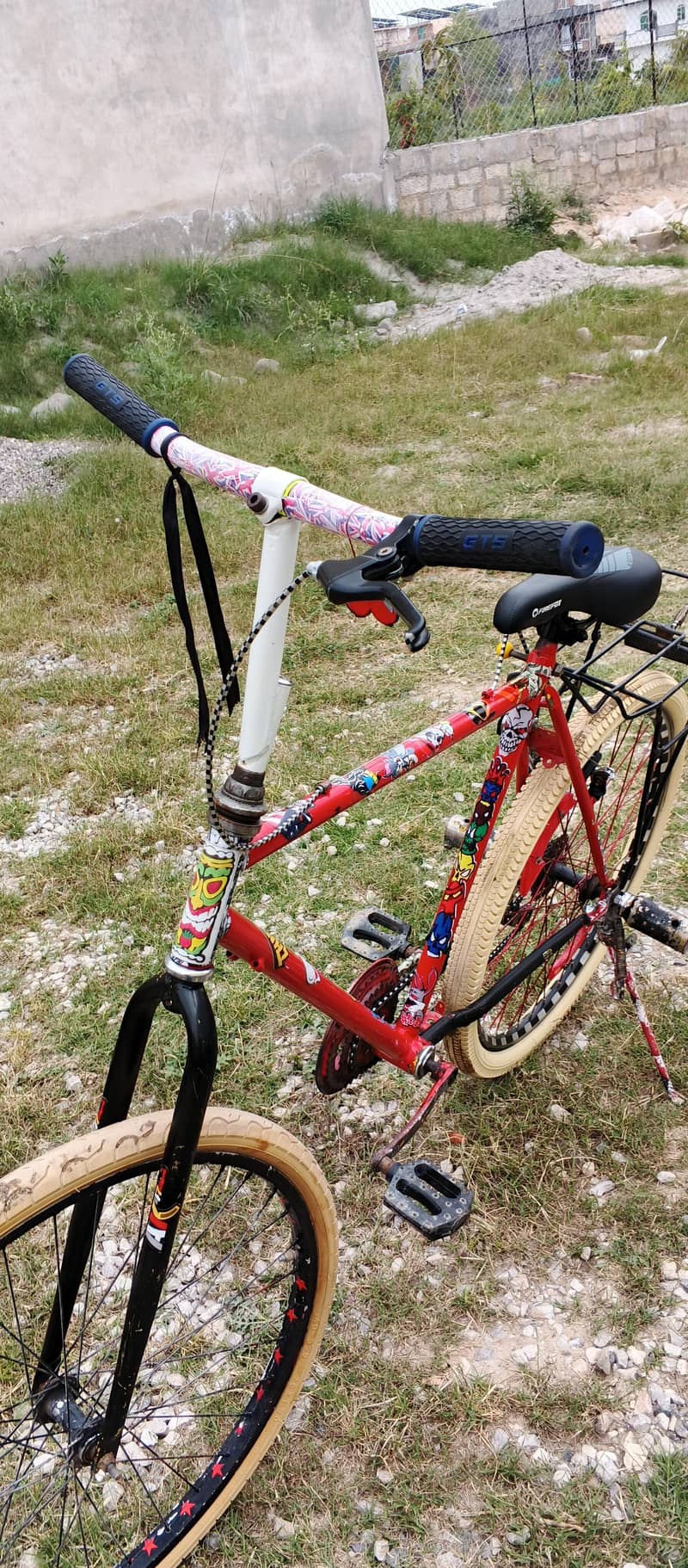 Phoenix cycle 4