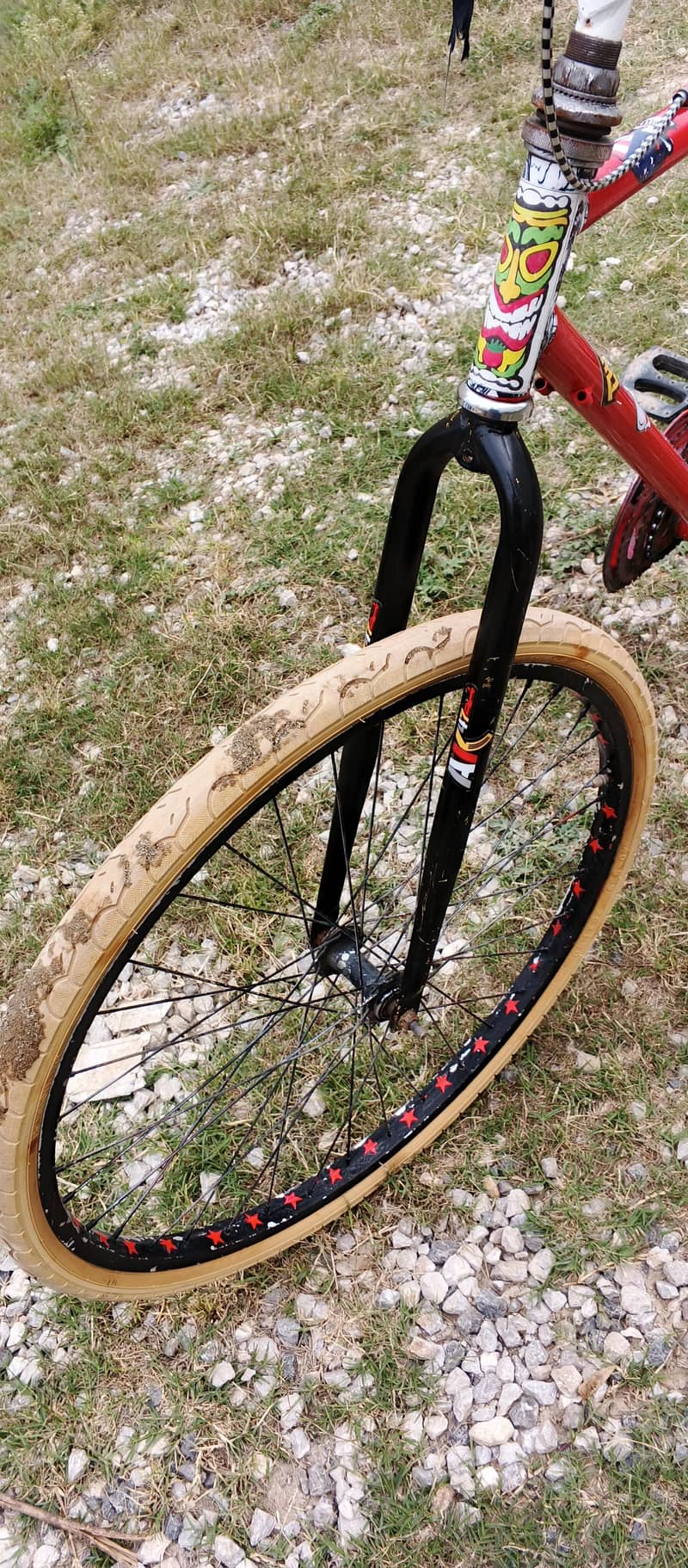 Phoenix cycle 5