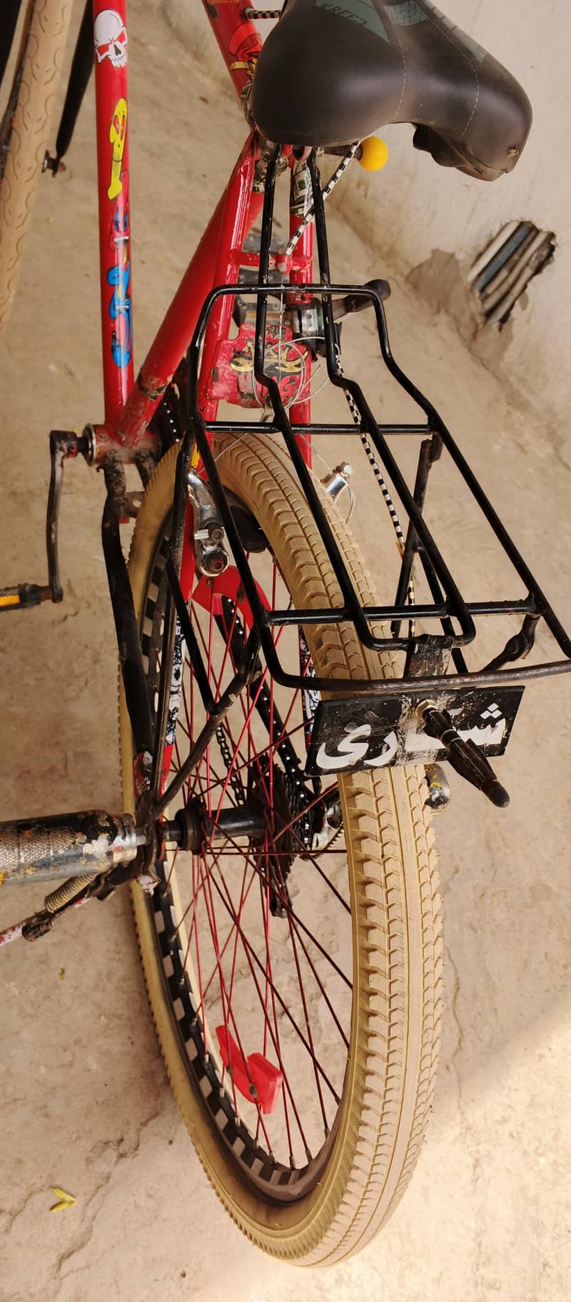 Phoenix cycle 6