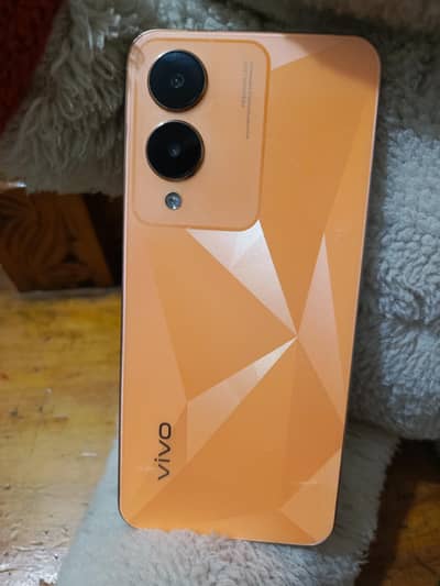 Vivo Y17s
