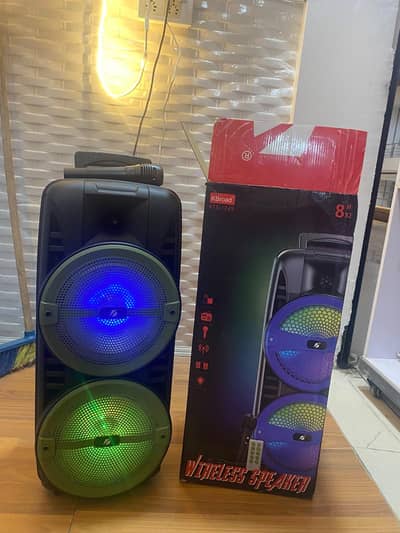 WIRELESS BIG SPEAKER