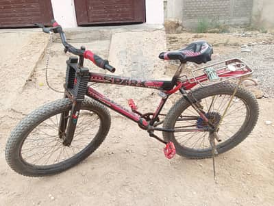 Cycle for the adult and 12y to above age