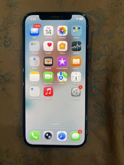 Apple iPhone 12