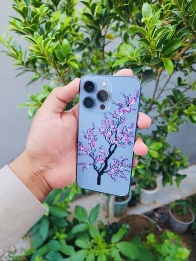 Apple iPhone 13 Pro