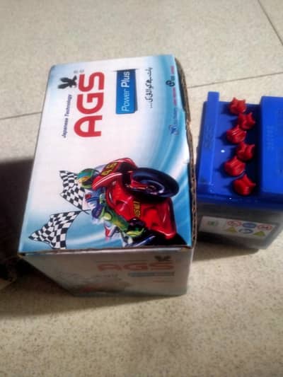 AGS Bike Battery