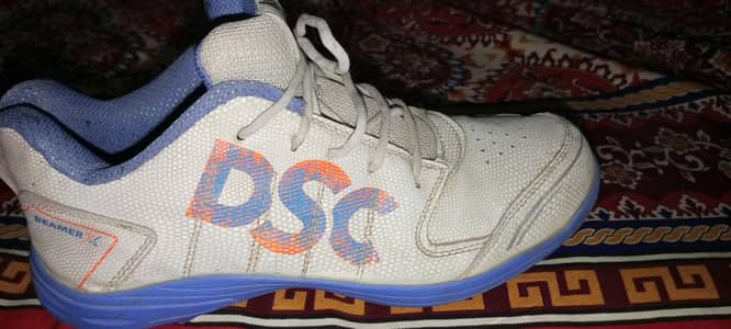DSC CRICKET SHOES