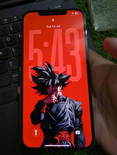 Apple iPhone 12 pro max