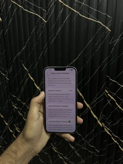 iPhone 13Pro max 128Gb