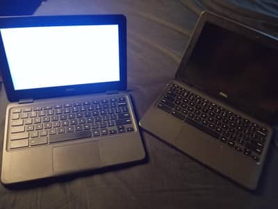 Chromebook 3100 (windows OS)