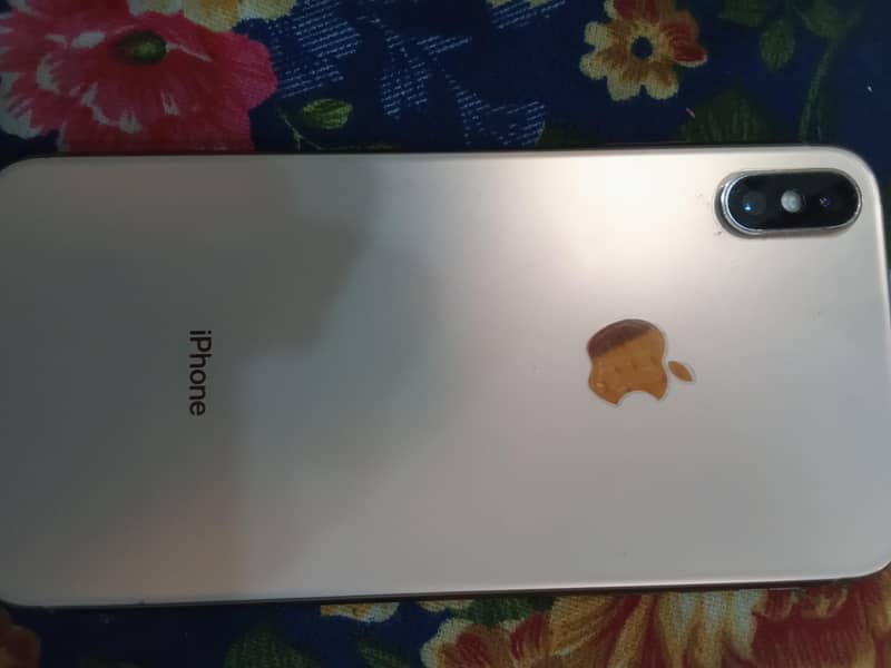 Apple iPhone XS Max 1