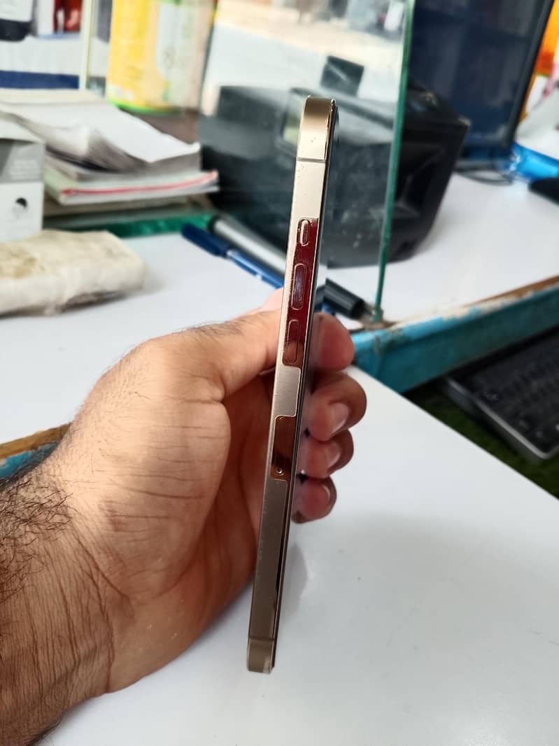 iPhone 12 Pro Max 4