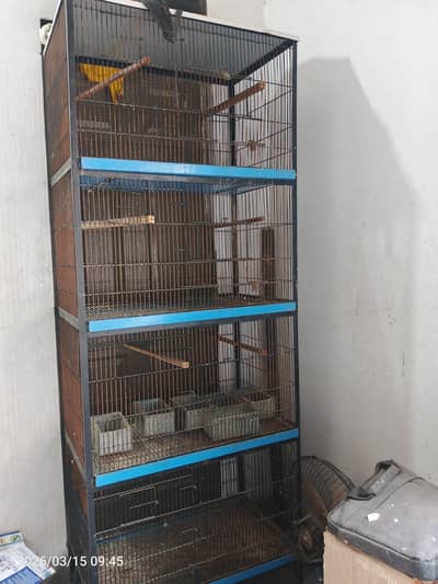 lovebird iron 4 portion Cage
