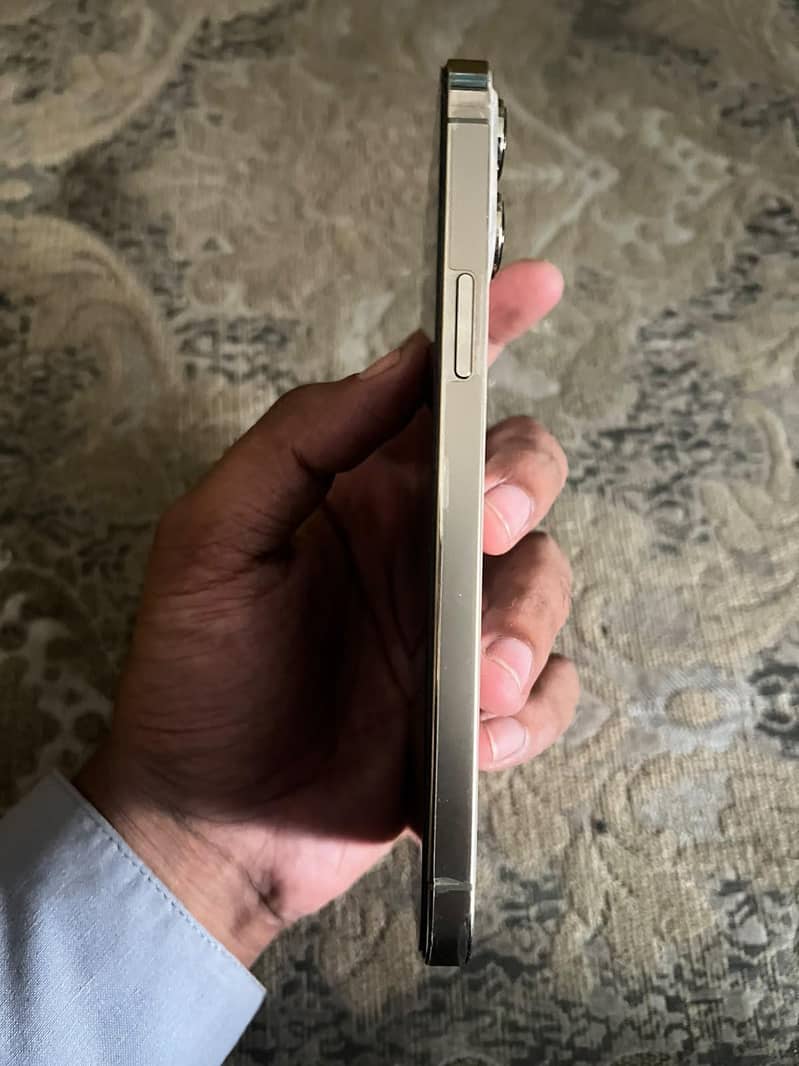 Apple iPhone 13 Pro Max 1